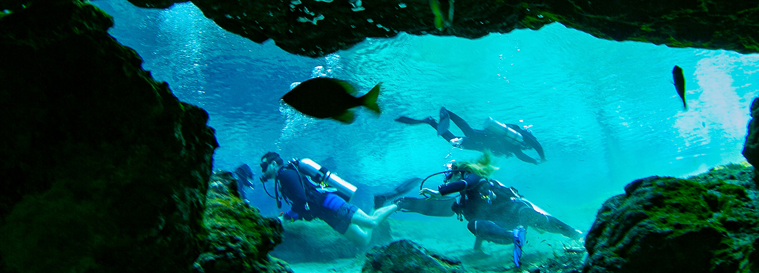Diving: immersioni ricreative singole